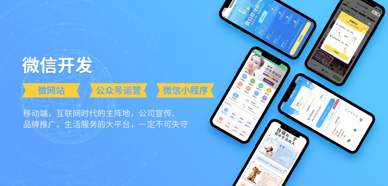 广州软件开发选购指南：如何找到靠谱的开发者